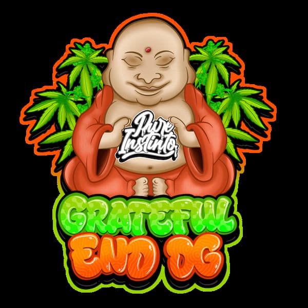Grateful End OG semilla > Pure Instinto | Semillas feminizadas  |  Índica